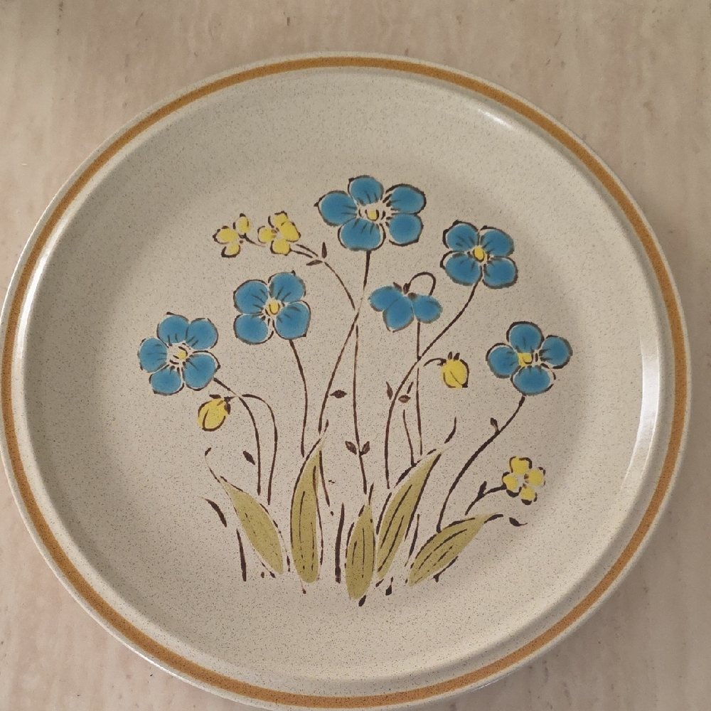 Hearthside Vintage Retro Floral Stoneware Plate. Highland Flowers 12'